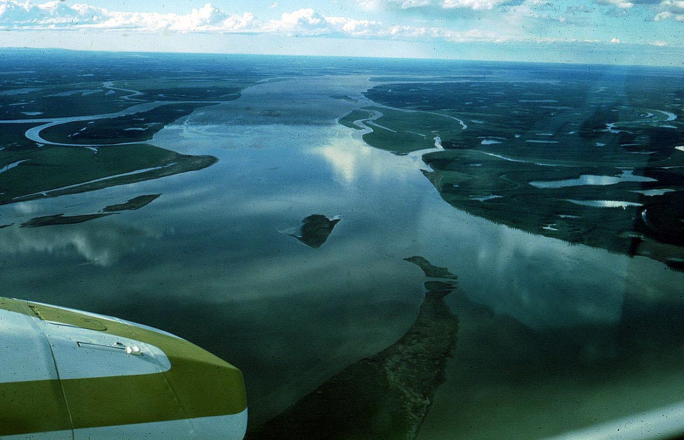 Река маккензи описание по плану 7 класс - 97 фото